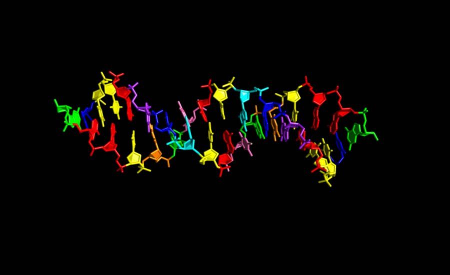 Scientists have created synthetic DNA with four extra letters